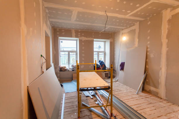 Best Drywall Installation  in Redwood Falls, MN